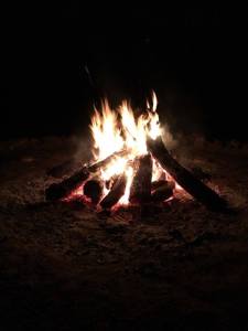 15058036_1480418785357922_349473621_n